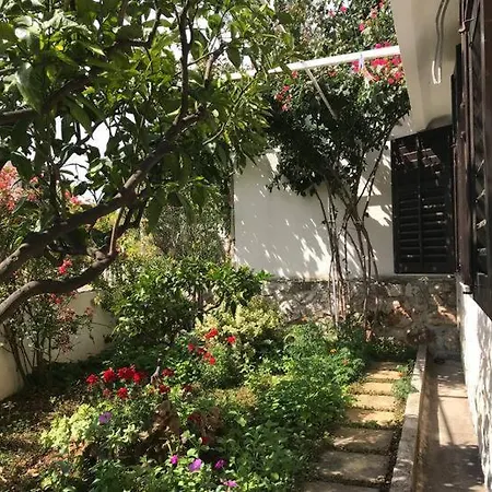 Ana Hvar Town